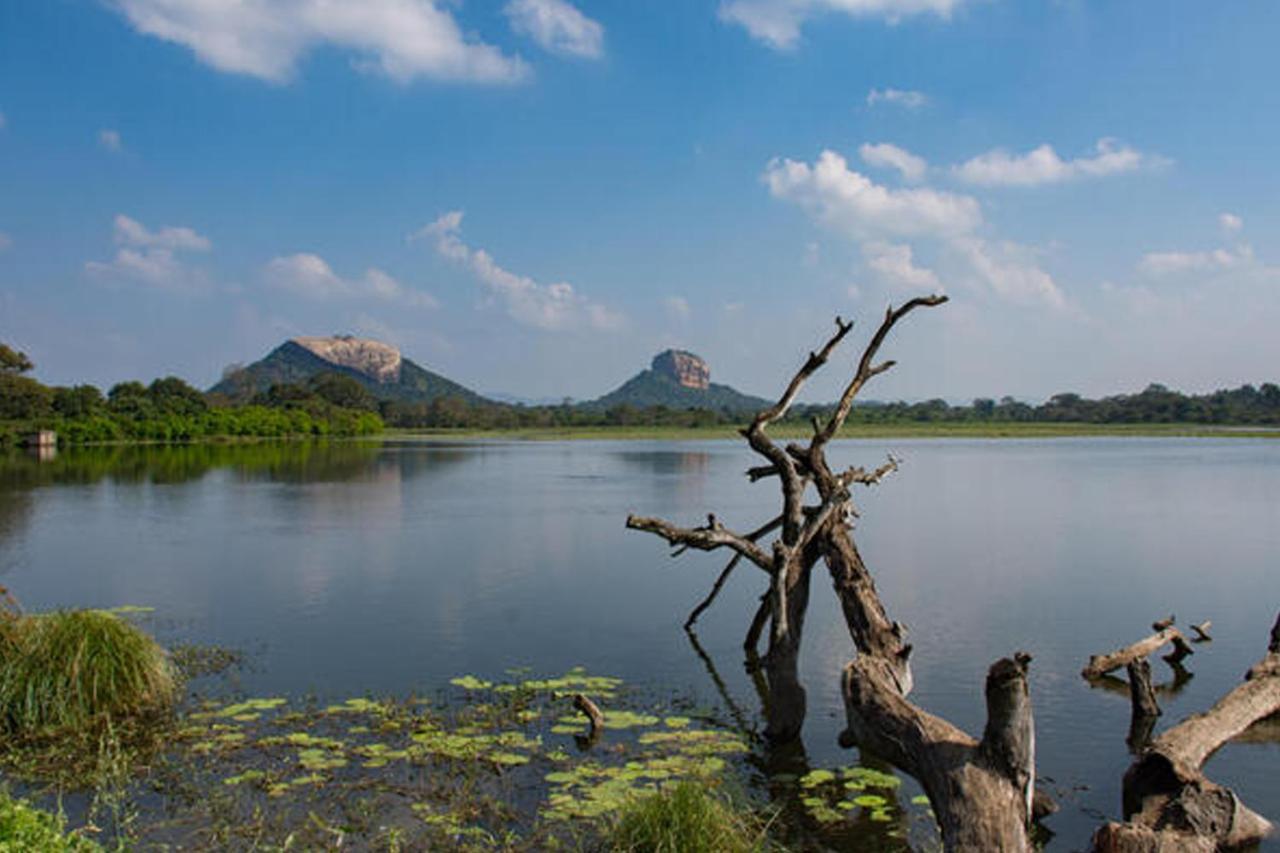 Suba Home Stay Sigiriya Buitenkant foto
